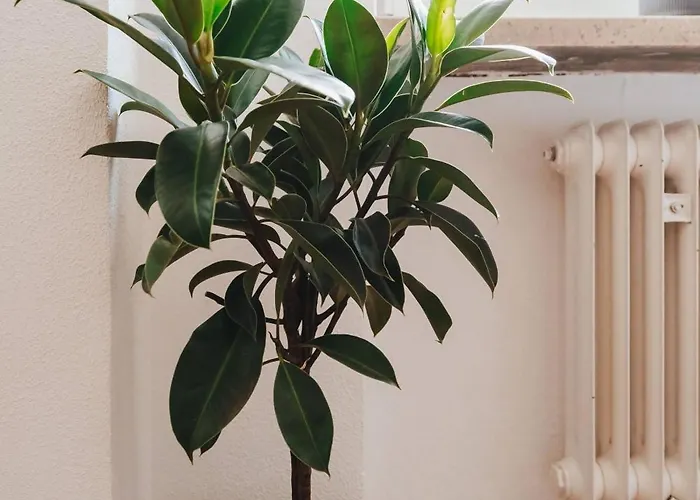 Apartamento Neu I Stilvoll I Boxspring I Smart Tv I Zentral *